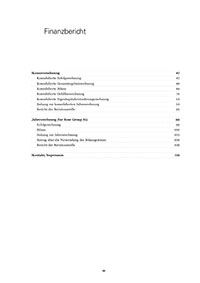 Finanzbericht (PDF)
