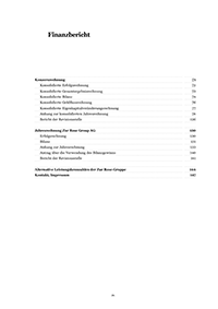 Finanzbericht (PDF)